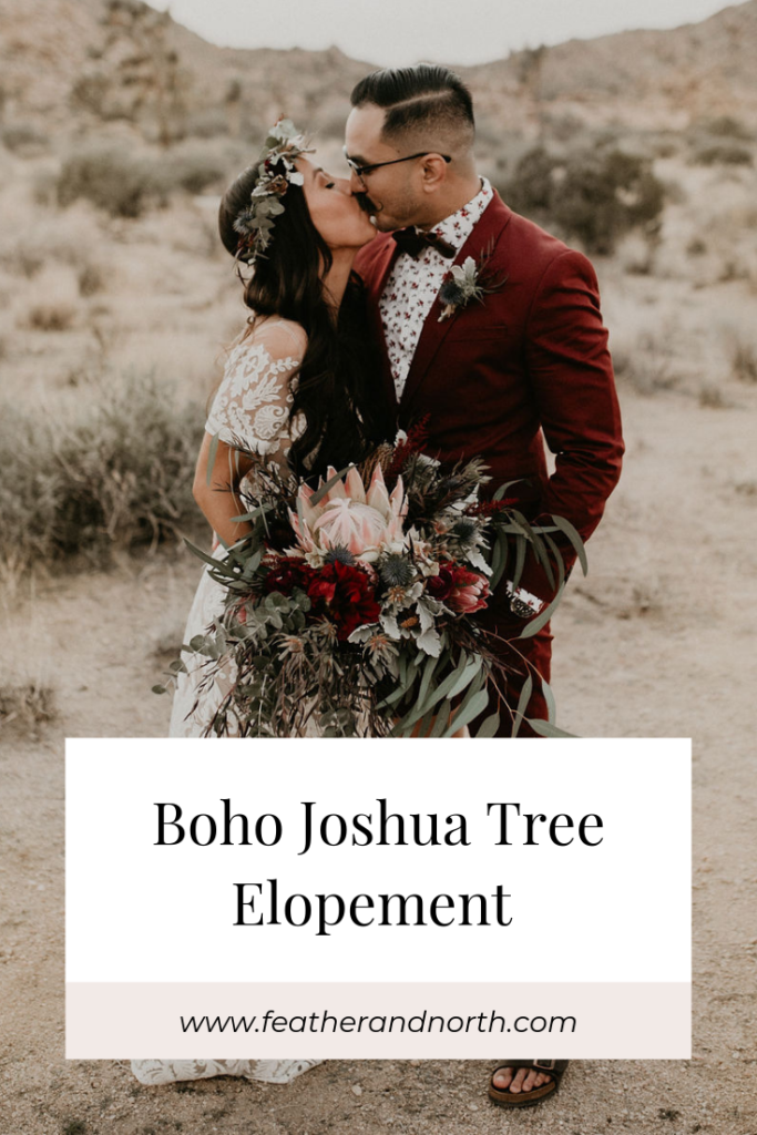 bride and groom portraits, Joshua Tree Elopement featherandnorth